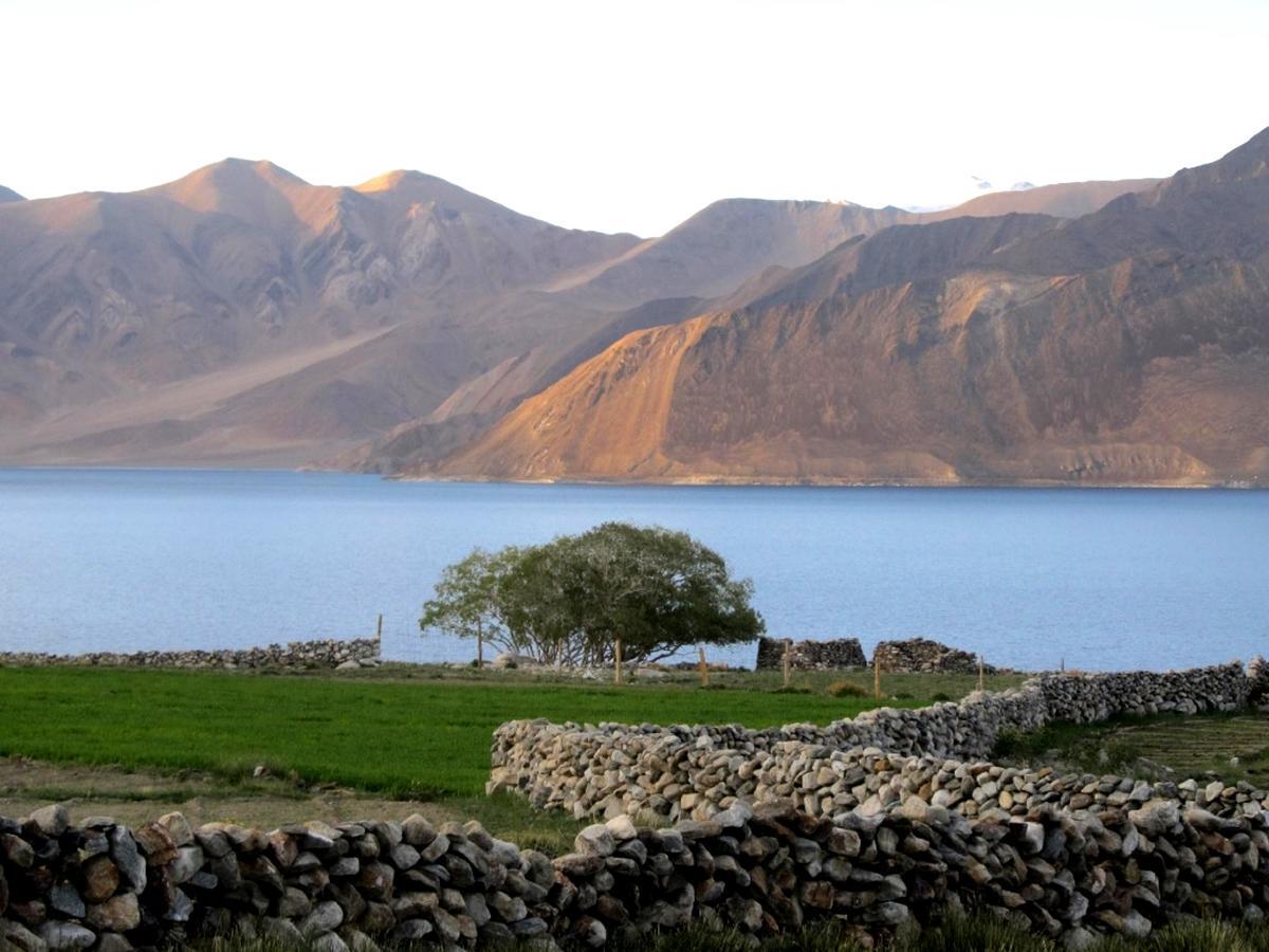 Pangong Delight Camps And Cottages Spangmik Exterior foto