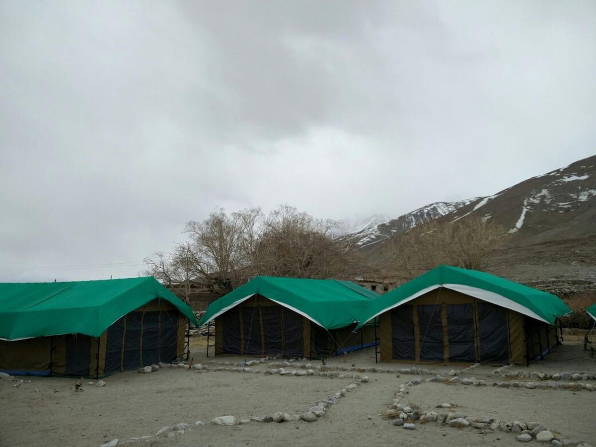 Pangong Delight Camps And Cottages Spangmik Exterior foto